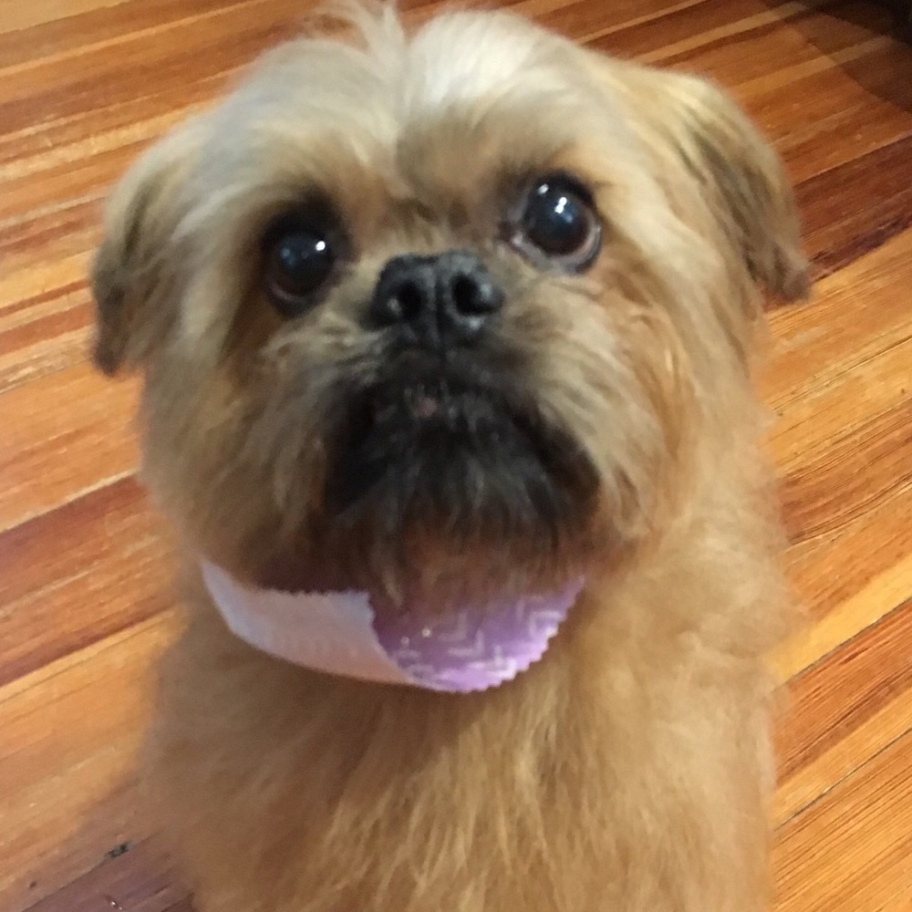 Meet your Posher, Tammy